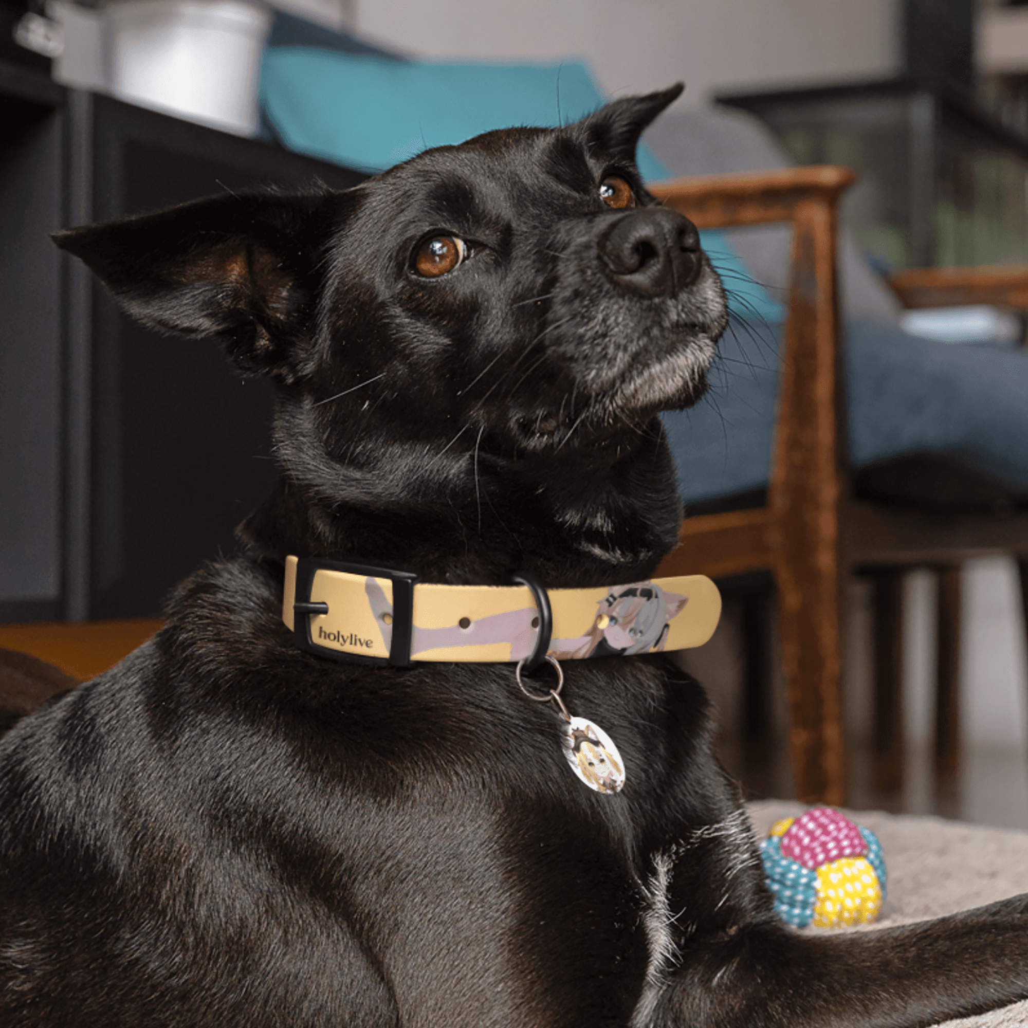 Obvnotventi's Temu Fillian Dog Collar product image